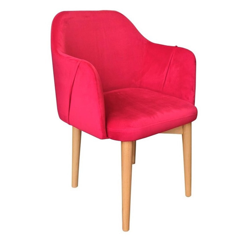 Aguilar Armchair Furniture City (Lahore)